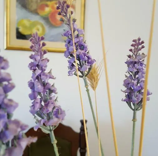 Апартаменты Bevanda