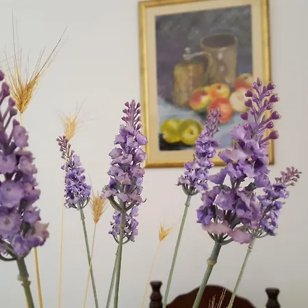 Apartment Bevanda Pula