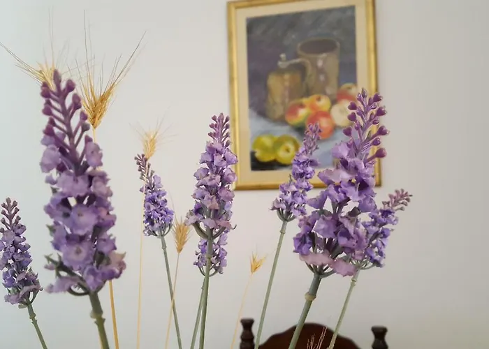 Appartement Bevanda Pula